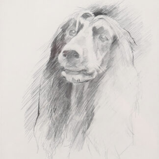 Henry Gustafsson - Aristokraten