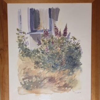 Kenneth Sjöö - Lupiner