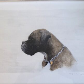 Ulf Wahlberg - Boxer